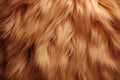 Processed collage of fluffy animal fur surface texture. Background for banner, backdrop or texture Royalty Free Stock Photo