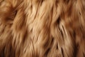 Processed collage of fluffy animal fur surface texture. Background for banner, backdrop or texture Royalty Free Stock Photo