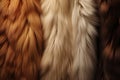 Processed collage of fluffy animal fur surface texture. Background for banner, backdrop or texture Royalty Free Stock Photo
