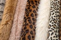Processed collage of fluffy animal fur surface texture Royalty Free Stock Photo