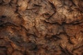 Processed collage of old tree bark trunk material texture. Background for banner, backdrop Royalty Free Stock Photo