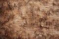 Processed collage of old tree bark trunk material texture. Background for banner, backdrop Royalty Free Stock Photo