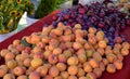 Juicy and fresh organic peaches and plumbs Royalty Free Stock Photo