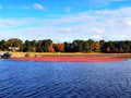 A large field of cranberries bogs Royalty Free Stock Photo