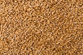 Processed organic wheat grains texture background Royalty Free Stock Photo