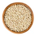 Processed pearl barley in wooden bowl over white