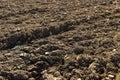 Processed plowed fertile soil in the field Royalty Free Stock Photo