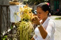 Procession of beautiful Balinese hindu ceremony in Bali island