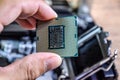 The processor is a desktop computer in hand. Inspect the CPU contacts before installing Royalty Free Stock Photo