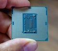 The processor is a desktop computer in hand. Inspect the CPU contacts before installing Royalty Free Stock Photo