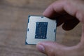 The processor is a desktop computer in hand. Inspect the CPU contacts before installing Royalty Free Stock Photo
