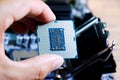 The processor is a desktop computer in hand. Inspect the CPU contacts before installing Royalty Free Stock Photo