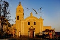 The church in Procida, Italy, is surrounded by seagulls in the early morning. Royalty Free Stock Photo