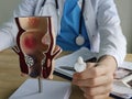 A proctologist doctor administers a rectal suppository and an artificial model of the human rectum concept Royalty Free Stock Photo