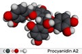 Procyanidin A2, proanthocyanidin A2 molecule. It is natural product, used in urinary tract infection prevention. Molecular model. Royalty Free Stock Photo