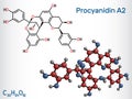 Procyanidin A2, proanthocyanidin A2 molecule. It is natural product, used in urinary tract infection prevention. Royalty Free Stock Photo