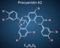 Procyanidin A2, proanthocyanidin A2 molecule. It is natural product, used in urinary tract infection prevention. Structural Royalty Free Stock Photo