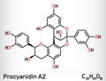 Procyanidin A2, proanthocyanidin A2 molecule. It is natural product, used in urinary tract infection prevention. Structural Royalty Free Stock Photo