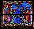 Prodigal Son Stained Glass Notre Dame St Marie Normandy France