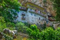 A wild white horse grazing beneath Prodromos monastery in Arcadia prefecture in Peloponnese Greece.