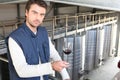 Producer in wine warehouse Royalty Free Stock Photo