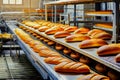 Produces freshly baked bread using an automated production line conveyor belt oven in a bakery
