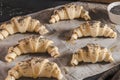 Producing classic small croissants at home or cafe. French pastry goods. Family cooking concept. Prepare croissant for bake Royalty Free Stock Photo