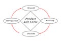 Product Life Cycle