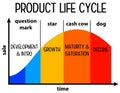 Product life cycle