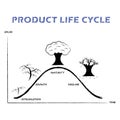 Product Life Cycle Line on White Background