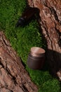 Product mockup in brown and gold colors on textured tree bark and moss podium in sunlight.