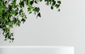 Product Podium - White Oblong Podium, White Background with Foliage. 3D Illustration