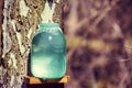 Production of birch sap in the glass jar Royalty Free Stock Photo