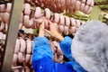 Production of boiled sausages and smoked sausage at a meat factory Royalty Free Stock Photo