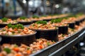 Production of canned fish. Tin cans of fish on the conveyor Royalty Free Stock Photo