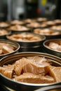 Production of canned fish. Tin cans of fish on the conveyor Royalty Free Stock Photo