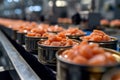 Production of canned fish. Tin cans of fish on the conveyor Royalty Free Stock Photo