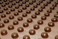 Production of chocolates, factory conveyor, conveyor belt