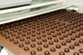 Production of chocolates, factory conveyor, manufacture