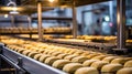 production conveyor food processing