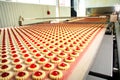 Production cookie in factory