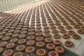 Production of cookies on conveyor Royalty Free Stock Photo