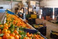 Production facilities of grading and packing of harvest of mandarins on an agricultural farm
