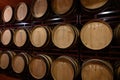 Production of fortified jerez, xeres, sherry wines in dark oak barrels in sherry triangle, Jerez la Frontera, El Puerto Santa Royalty Free Stock Photo