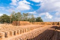 Production of indian bricks. The brick dries, Puttaparthi, Andhra Pradesh, India. Copy space for text.