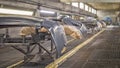 Production line for painting of bumpers of automotive plant paint shop Royalty Free Stock Photo