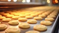 Production line of baking cookies. Biscuits on conveyor belt in confectionery factory.