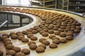 Production line of baking cookies. Biscuits on conveyor belt in confectionery factory, food industry Royalty Free Stock Photo