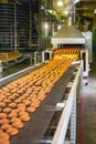 Production line of baking cookies. Biscuits on conveyor belt in confectionery factory, food industry Royalty Free Stock Photo