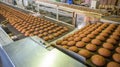 Production line of baking cookies. Biscuits on conveyor belt in confectionery factory, food industry Royalty Free Stock Photo